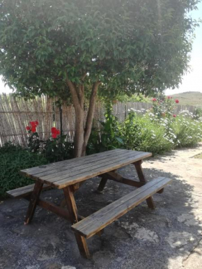 Casa Los Olivos